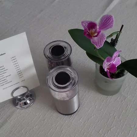 Hotel Toy 3*